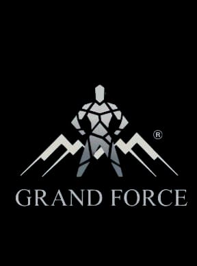 Lagogo - Enactus Damanhour Partner